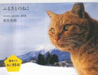岩合光昭ふるさとのねこ週めくりカレンダー（2016）