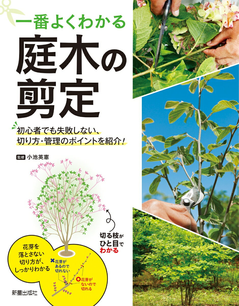 初心者でも失敗しないよう、切る位置がひと目でわかるイラストで解説。落葉樹など、年2回剪定を行ったほうがよい庭木について、それぞれの剪定方法をていねいに解説しています。果樹も掲載しているので幅広く活用できます。