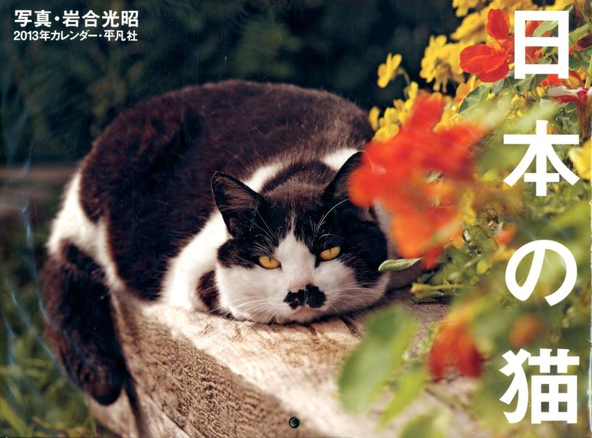 日本の猫カレンダー 2013