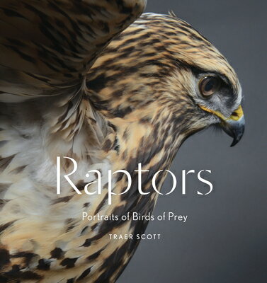 Raptors: Birds of Prey: Portraits of Birds of Prey RAPTORS BIRDS OF PREY [ Traer Scott ]