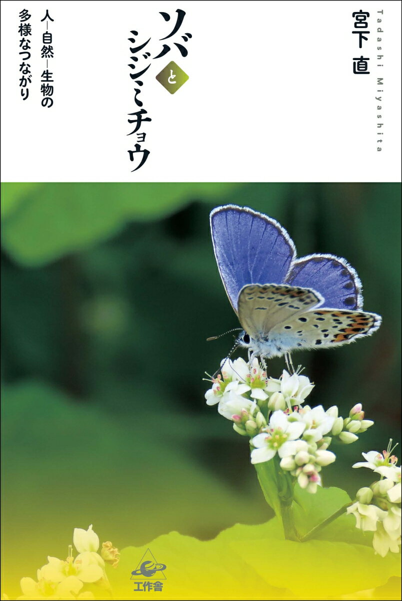 幼少期の懐かしい自然体験にはミヤマシジミという青藍色の美しい蝶がいた。４０年後、何度か記憶の場所を訪ねるようになり、数年が経ったころだった。ついに、土手の草地に無数のミヤマシジミが舞飛ぶ光景と遭遇する…。