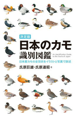 日本のカモ識別図鑑 日本産カモの全羽衣をイラストと写真で詳述 [ 氏原巨雄 ]