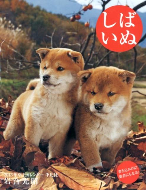 卓上カレンダー しばいぬ 2013