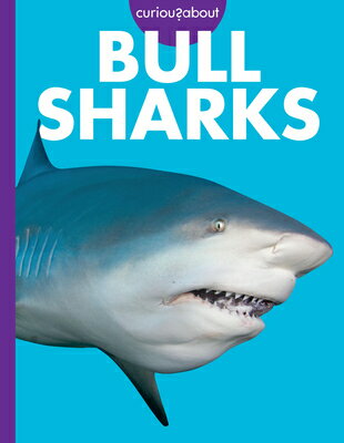 Curious about Bull Sharks CURIOUS ABT BULL SHARKS [ Emma Alice Johnson ]