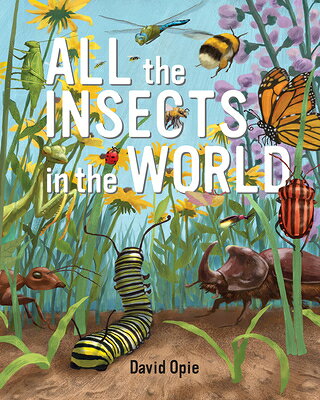 All the Insects in the World ALL THE INSECTS IN THE WORLD 