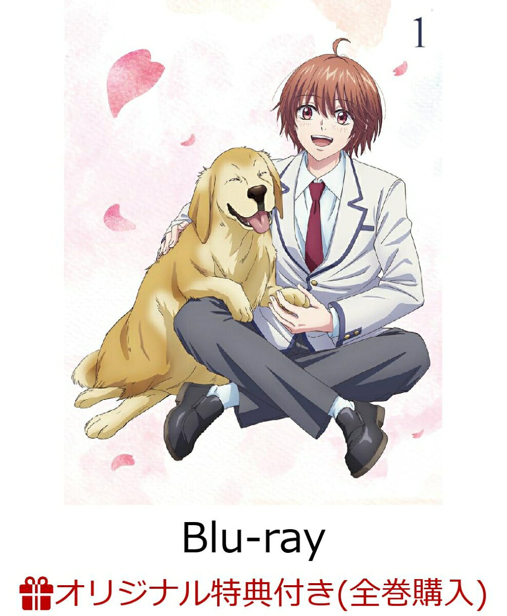 花ざかりの君たちへ Blu-ray Disc BOX Vol.1(完全生産限定版)(A4クリアポスター2 種セット+A6アクリルプレート+キャラクターデザイン:蘇 詩宜描き下ろし複製色紙)【楽天ブックス限定全巻購入特典+先着特典】