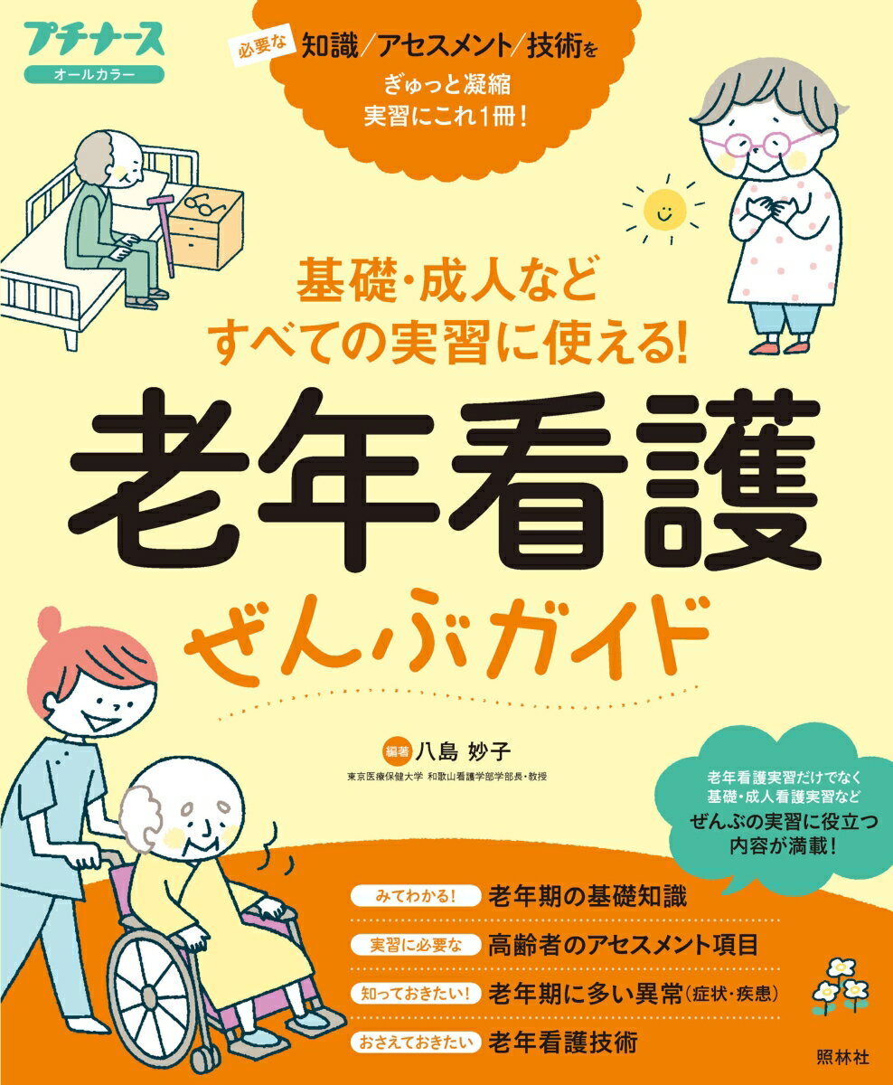 老年看護ぜんぶガイド 基礎・成人などすべての実習に使える！ [ 八島妙子 ]のサムネイル