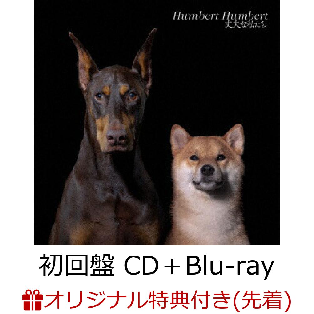 【楽天ブックス限定先着特典】丈夫な私たち (初回盤 CD＋Blu-ray)(オリジナルクリアファイル)