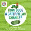 HOW DOES A CATERPILLAR CHANGE?(BB)