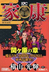 家康（11（関ケ原の章））