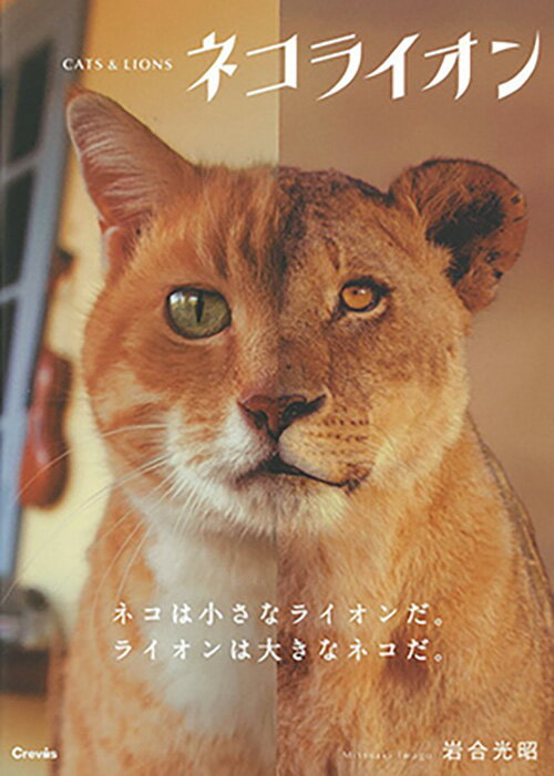 写真文庫　ネコライオン