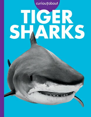 Curious about Tiger Sharks CURIOUS ABT TIGER SHARKS [ Debra Randorf ]