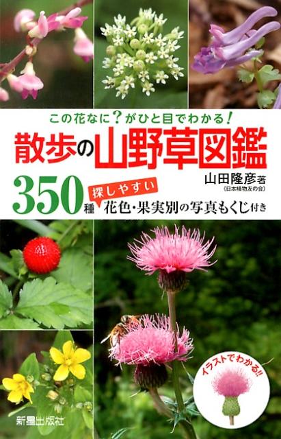 散歩の山野草図鑑 この花なに？がひと目でわかる！ [ 山田隆彦 ]