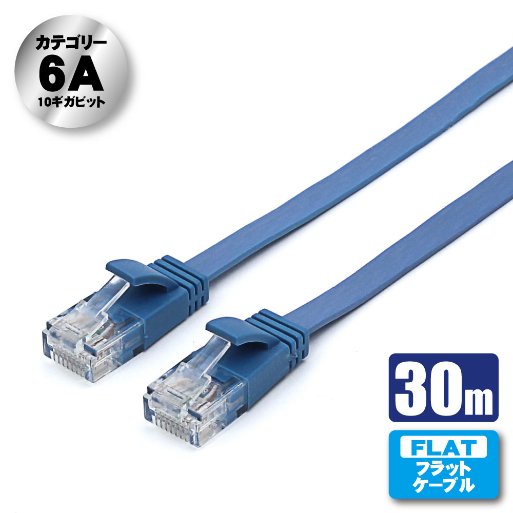 10Gbps/500MHz高速転送に対応した薄型フラットなLANケーブル
規格：カテゴリー6A 相当、ストレート全結線
対応通信速度/伝送帯域：カテゴリー6A（10GBASE-T）10Gbps/500MHz。カテゴリー6（1000BASE-TX）1Gbps/250MHz。カテゴリー5e（1000BASE-T）1Gbps/100MHz。カテゴリー5（100BASE-TX） 100Mbps/100MHz。カテゴリー3（10BASE-T）10Mbps/16MHz
PoE対応：PoE/PoE+
ケーブル：UTP/ストレート結線/ヨリ線導体
ケーブル径：厚さ約1.5mm x 幅約6mm
ケーブル長さ：30m
色：ブルー
コネクタ：RJ45
環境対応：RoHS指令(10物質)準拠
