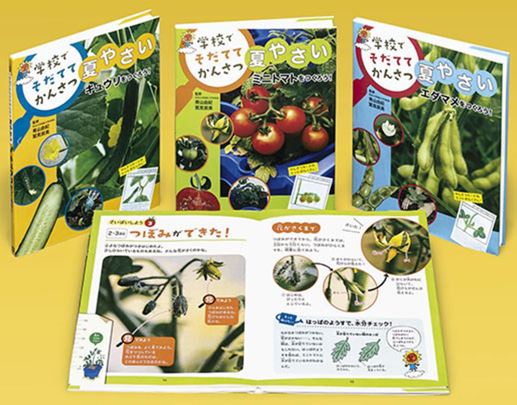 学校でそだててかんさつ夏やさい（全3巻セット）