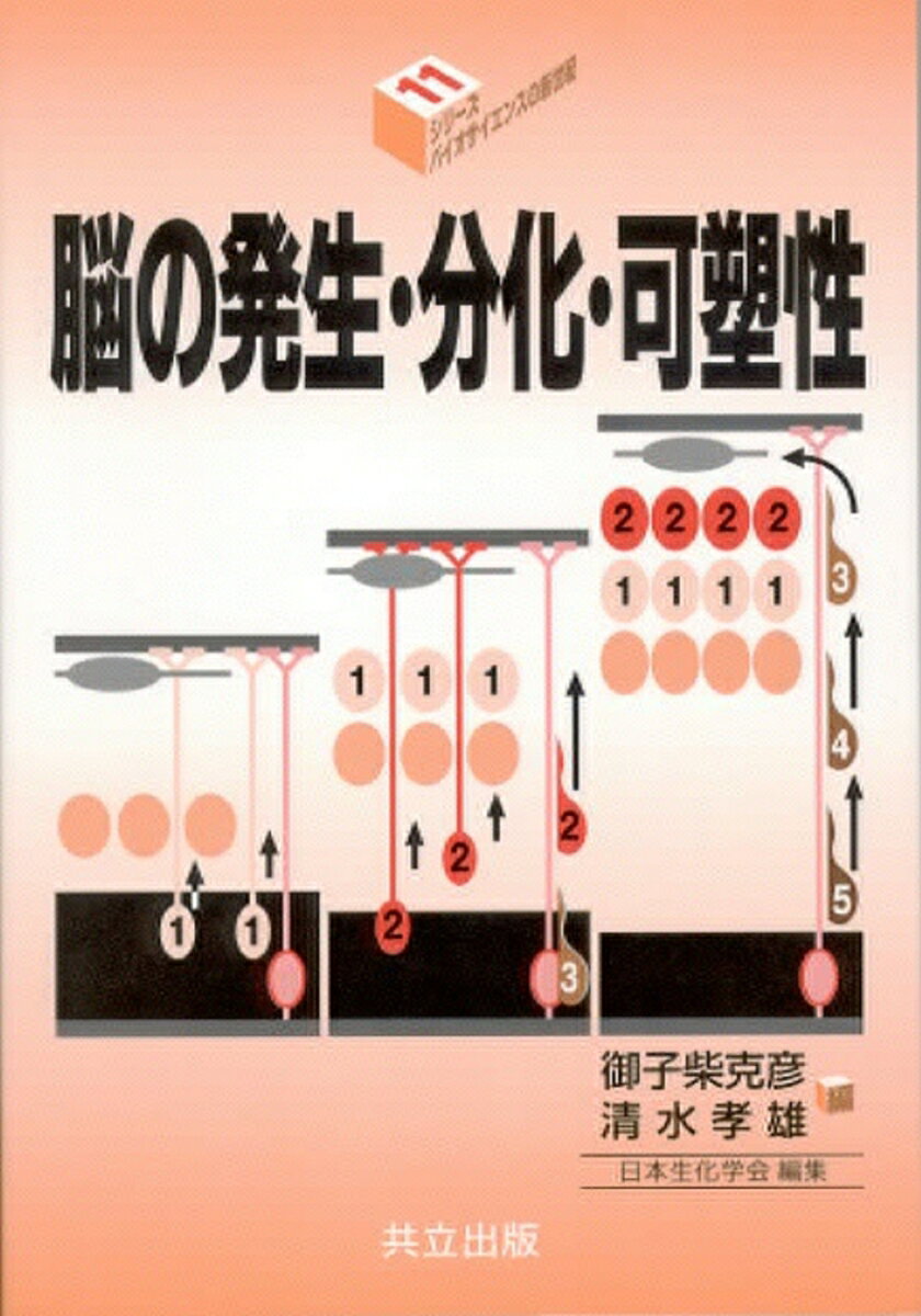 脳の発生・分化・可塑性は一体化した現象として捉える必要があると考える。本書は、脳の持つ最も重要な可塑性を目指して、脳がどのようにして作り上げられるかを示したものである。完成された脳に可塑的な性質があるとともに、形成される過程でも様々な可塑的な性質が見られる。