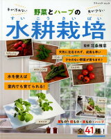 野菜とハーブの水耕栽培
