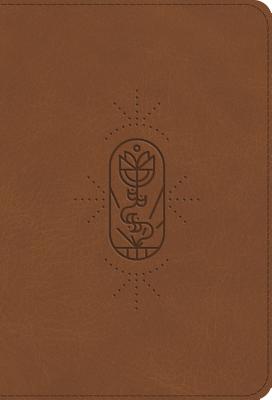 ESV Kid's Bible, Compact (Trutone, the True Vine) ESV KIDS BIBLE COMPACT (TRUTON [ ー ]