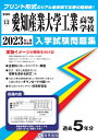 愛知産業大学工業高等学校(2023年春受験用) (愛知県国立・私立高等学校入学試験問題集)