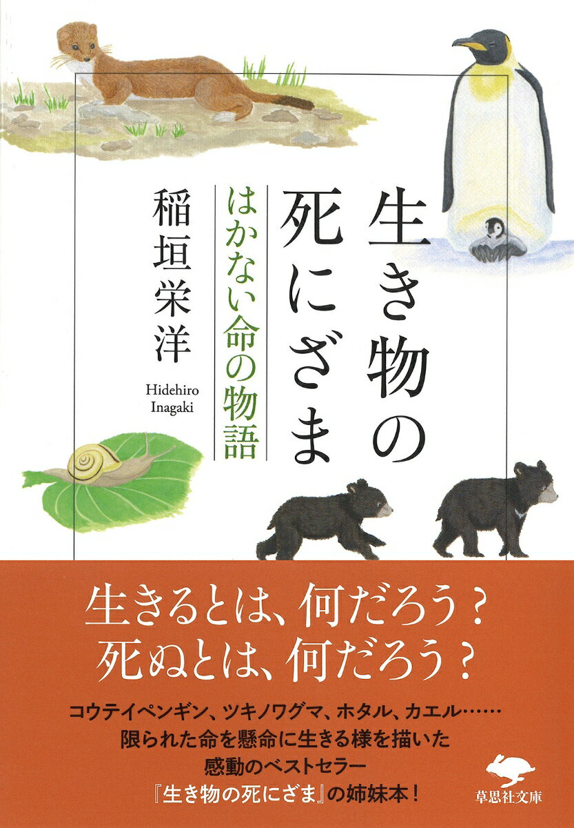 文庫　生き物の死にざま　はかない命の物語