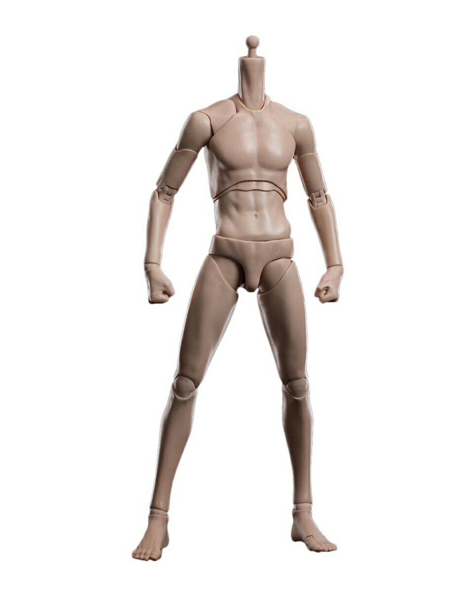 フュージョンファンタジー 1/6 アーティコイ 超可動スリム男性ボディ ワイドショルダー タンスキン（小麦肌） 【FSJB-01B】 (フィギュア)