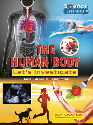 The Human Body: Let's Investigate HUMAN BODY （Science Essentials） [ Ruth Owen ]