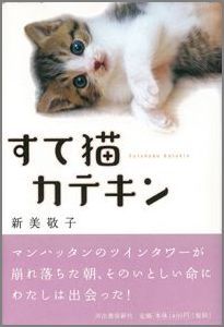 【バーゲン本】 すて猫カテキン