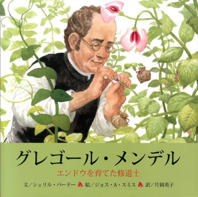 有名なメンデルの法則は、どんな実験によって発見されたのでしょうか。遺伝子についてまったくわからなかった時代に、父親と母親の特徴がどのように子どもに受けつがれるのかを、実験によって証明したグレゴール・メンデル。食べ物にもことかく苦しさのなかで、ひたすら勉強をつづけ、夢を追いつづけたその人生が胸をうちます。またメンデルの実験を、順を追いながら、できるだけ詳細に、わかりやすく描いています。