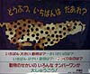 どうぶつ、いちばんはだあれ?の表紙