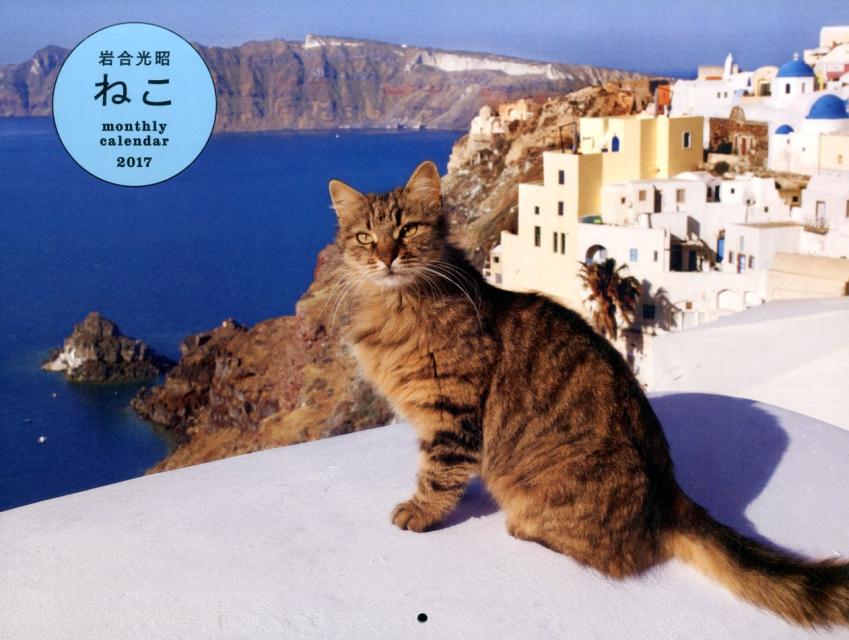 【壁掛】岩合光昭ねこカレンダー（2017）