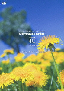 virtual trip 花 Flowers 四季の山野草と高山植物 [ (BGV) ]