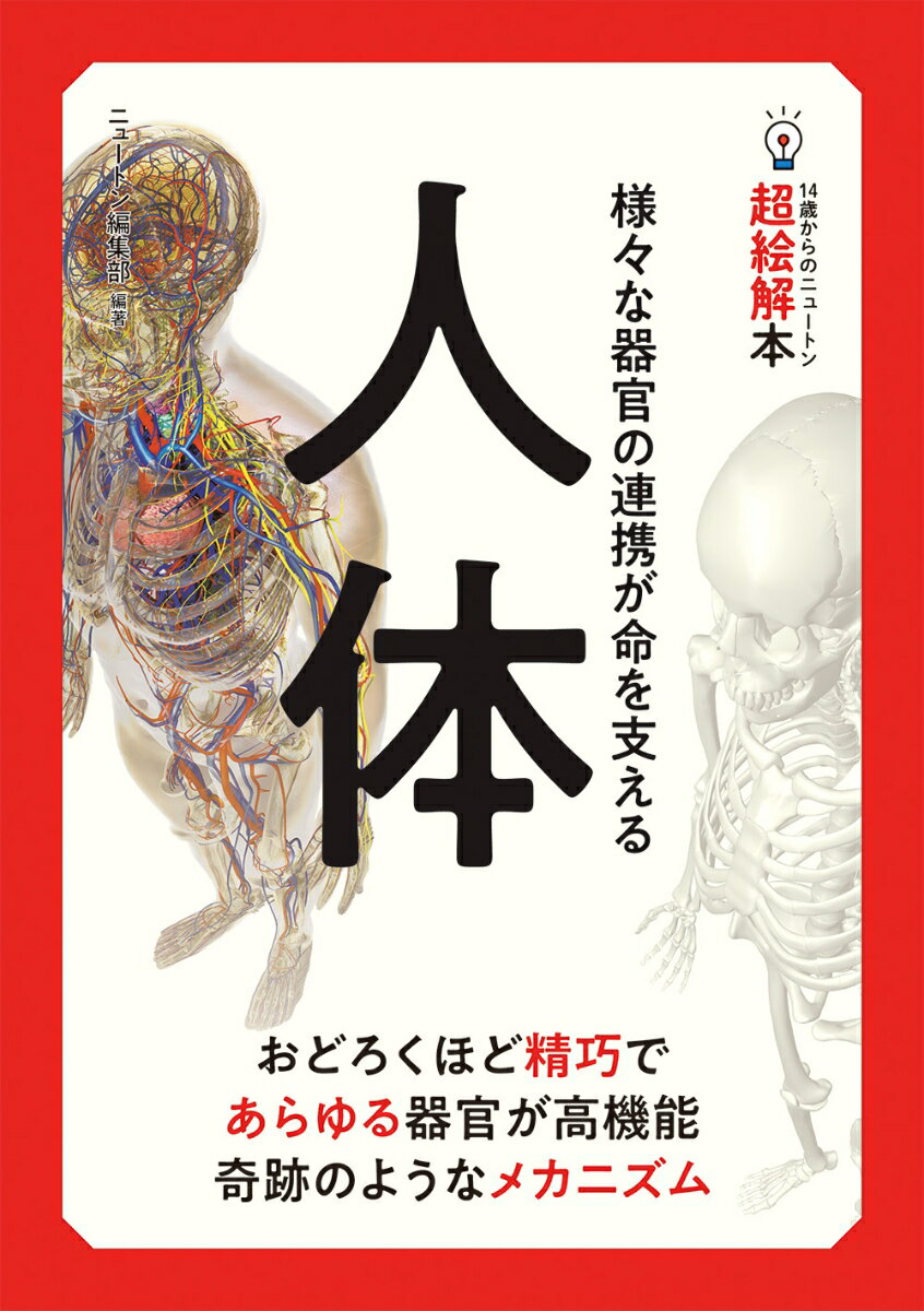 14歳からのニュートン超絵解本 人体