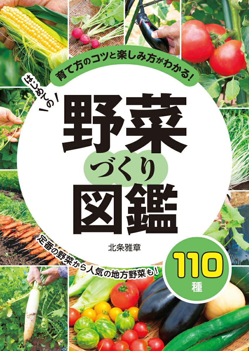 野菜づくり初心者から、いろいろと挑戦したい中級者に向けた一冊。本書では、110種の野菜を取り上げ、葉もの、実もの、根もの別に、栽培のポイントとコツをまとめた。栽培方法は、タネまき・土づくり→管理→収穫の順に細かく解説。また、それ以外に「知っておくと便利な豆知識」「保存方法や食べ方」「育ててみたい品種」「おもな病虫害と防除について」「土と肥料の基本」なども載っており、内容の濃い一冊。