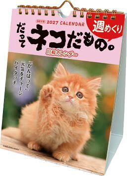 ○アクティブコーポレーション猫 ネコ ダッテネコダモノ。 発行年月：2026年08月 予約締切日：2026年07月07日 ISBN：4990012945672 本 カレンダー・手帳・家計簿 カレンダー 動物・自然