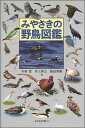 みやざきの野鳥図鑑 （みやざき文庫） 中村豊