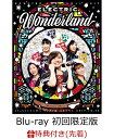 【先着特典】ももいろクリスマス2017 〜完全無欠のElectric Wonderland〜 LIVE Blu-ray(初回限定版)(ももクリ2017 オリジナルアクリルキーホルダー付き)【Blu-ray】 [ ももいろクローバーZ ]