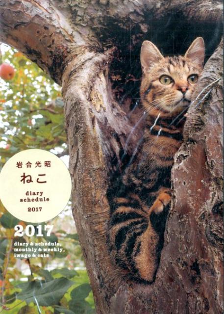 岩合光昭ねこdialy　schedule（2017）