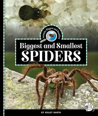 Biggest and Smallest Spiders BIGGEST & SMALLEST SPIDERS （Animals: Biggest and Smallest） [ Kelley Barth ]