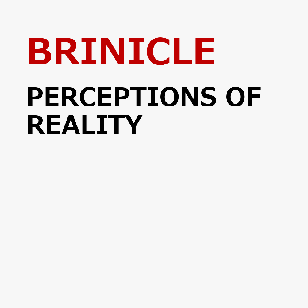 PERCEPTIONS OF REALITY