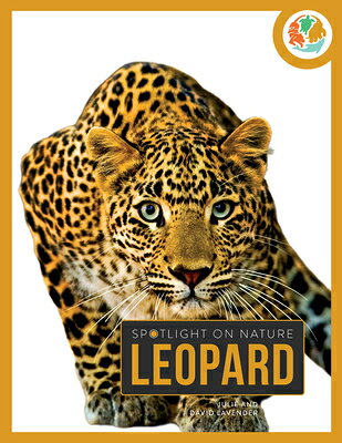 Leopard LEOPARD [ Julie And David Lavender ]