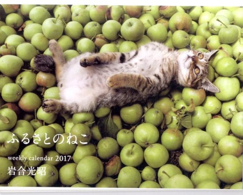 【卓上】岩合光昭ふるさとのねこ週めくりカレンダー（2017）