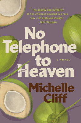 No Telephone to Heaven NO TELEPHONE TO HEAVEN [ Michelle Cliff ]