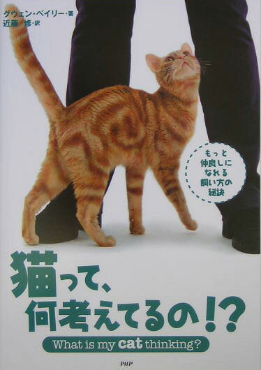 猫って、何考えてるの！？