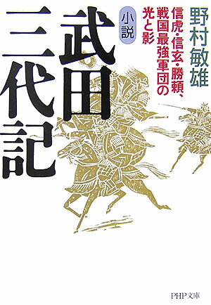 小説武田三代記