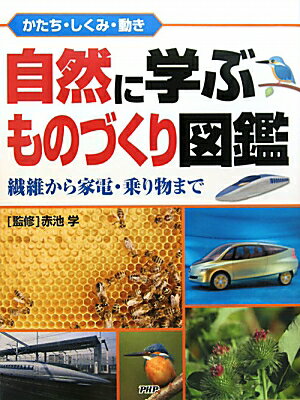 �����˳ؤ֤�ΤŤ���޴�