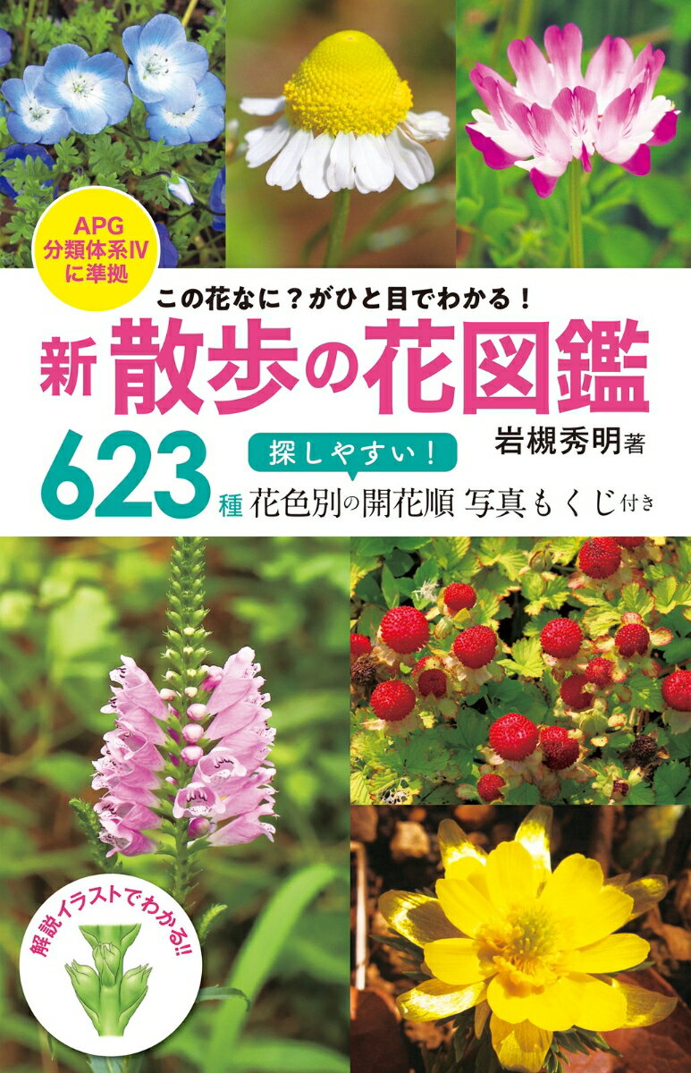 この花なに がひと目でわかる 新 散歩の花図鑑 APG分類体系4に準拠 [ 岩槻 秀明 ]