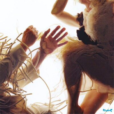 【輸入盤】Animal (Feat. Laura Marling & Mike Lindsay)