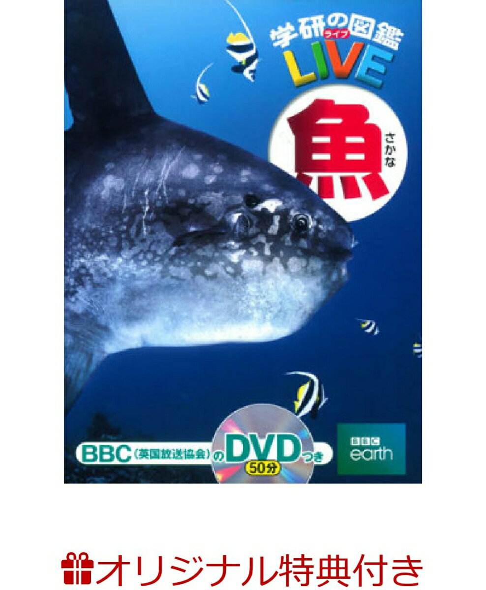 【楽天ブックス限定特典付き】学研の図鑑LIVE　魚