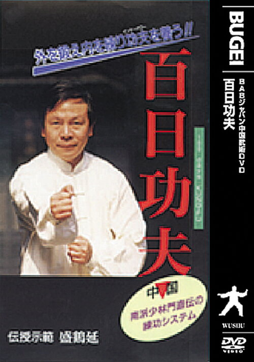 百日功夫 [ 盛鶴延老師 ]