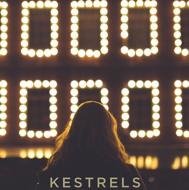 【輸入盤】Kestrels
